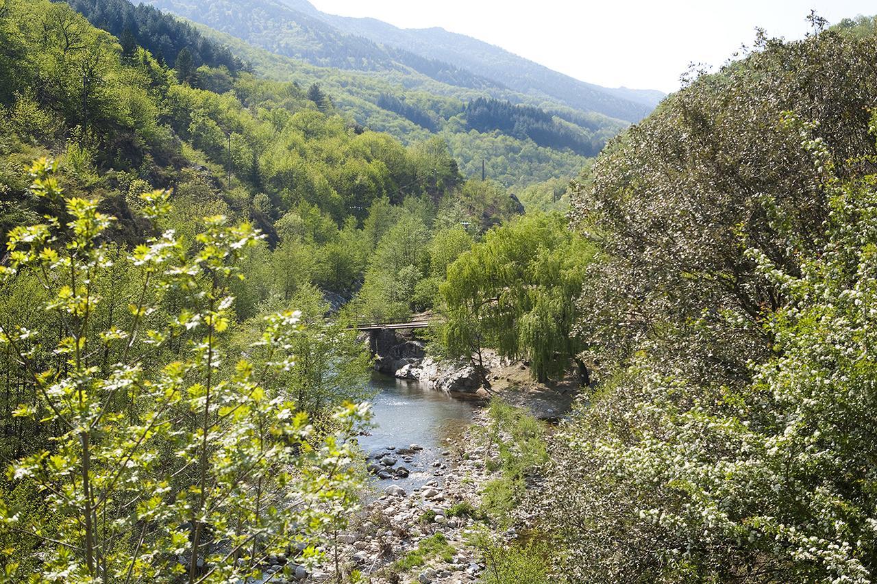 Logis Hotel-Restaurant Le Tanargue Valgorge Номер фото